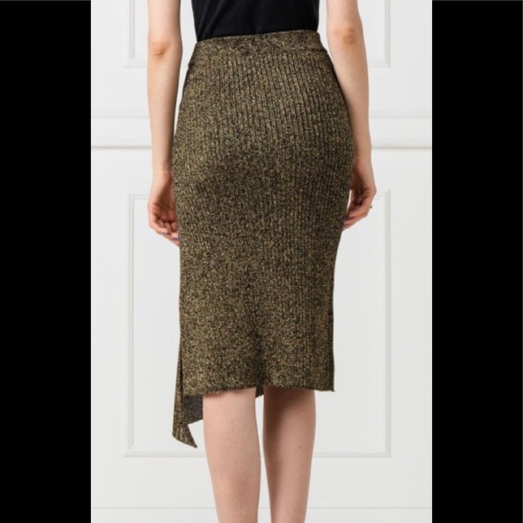 Pinko Quantomeno Gonna Longuette Skirt - Picture 4 of 5